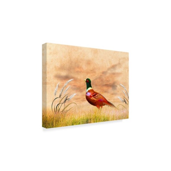 Ata Alishahi 'The Red Bird Oc' Canvas Art,18x24